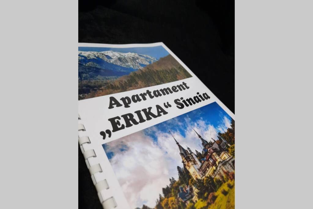 Apartament Erika Sinaia Eksteriør billede