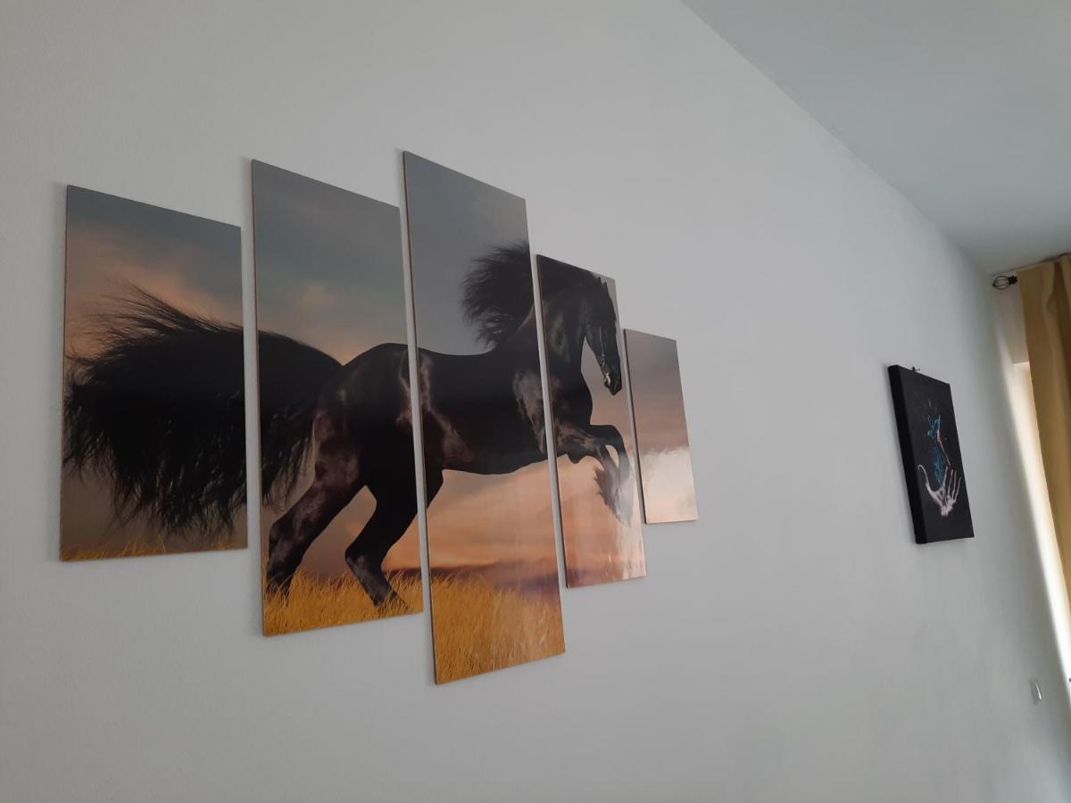 Apartament Erika Sinaia Eksteriør billede