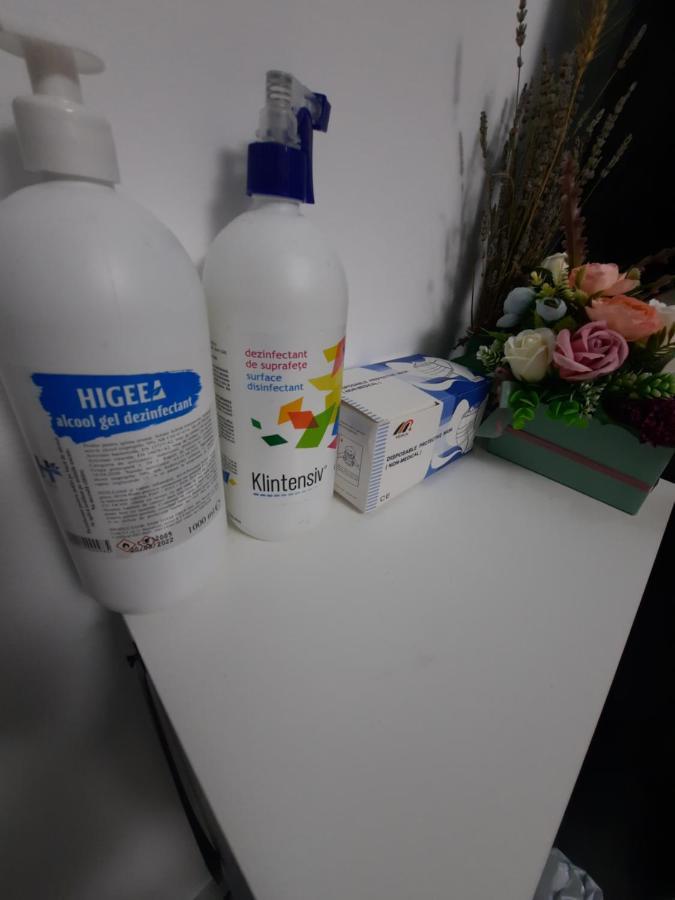 Apartament Erika Sinaia Eksteriør billede