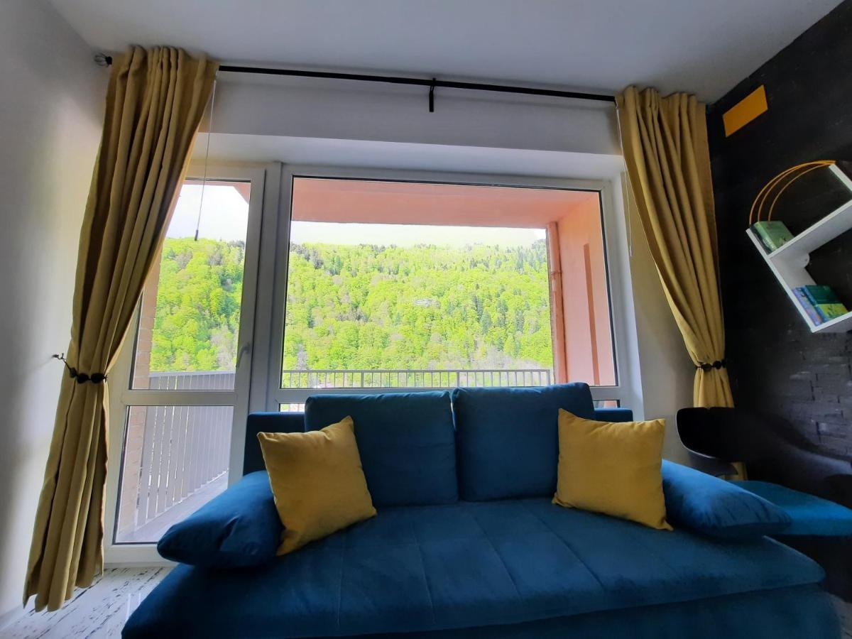 Apartament Erika Sinaia Eksteriør billede