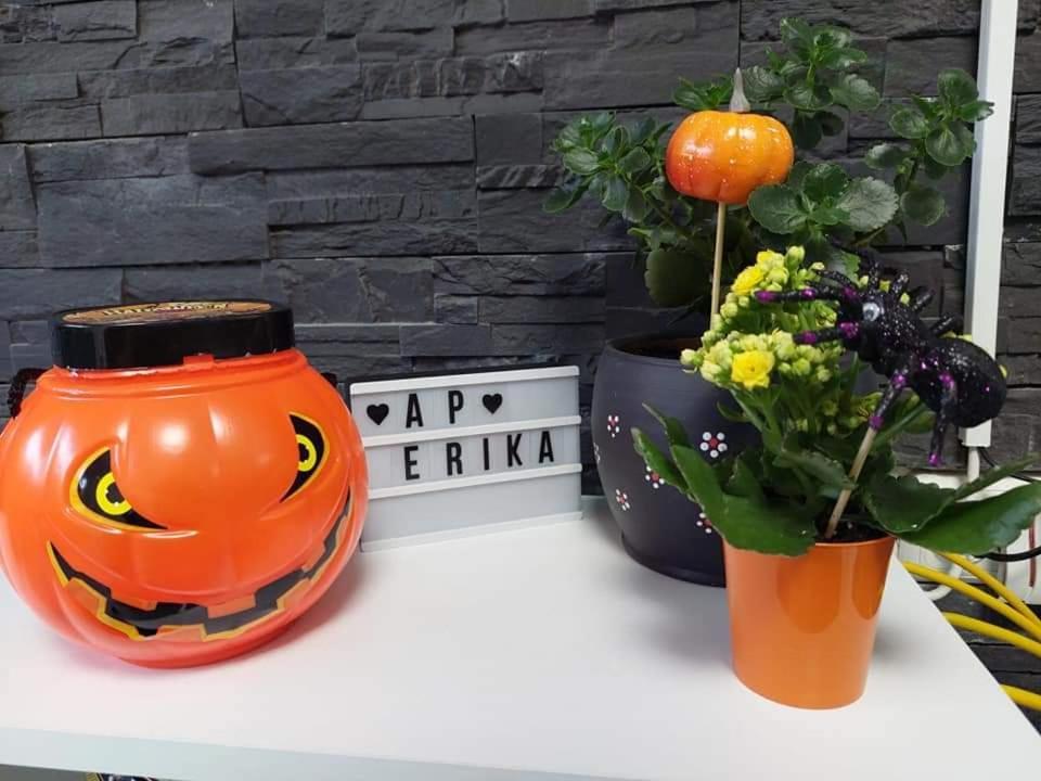 Apartament Erika Sinaia Eksteriør billede