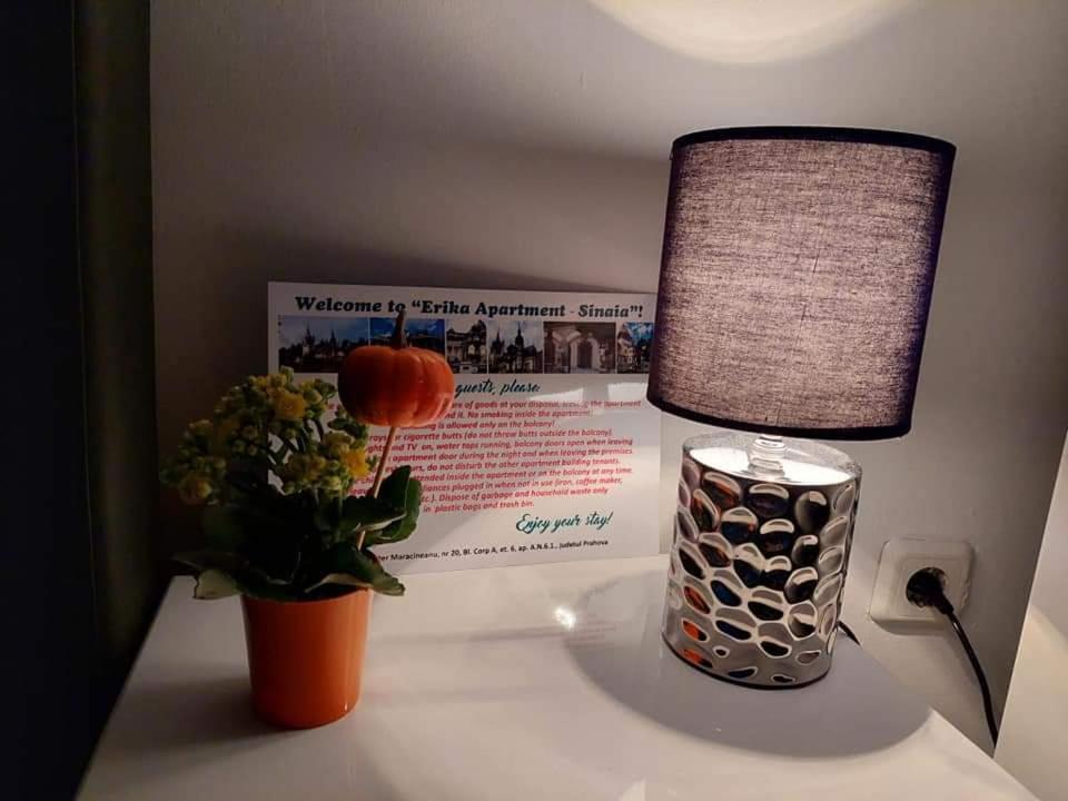 Apartament Erika Sinaia Eksteriør billede
